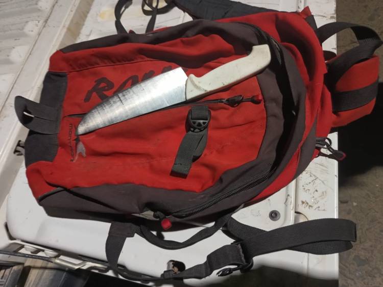 Policial: Actuaciones por diversos delitos en la ciudad