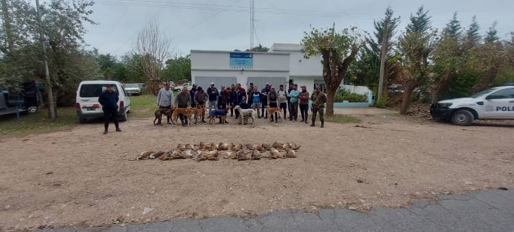 Policial: Infracción por caza ilegal y Hurtos