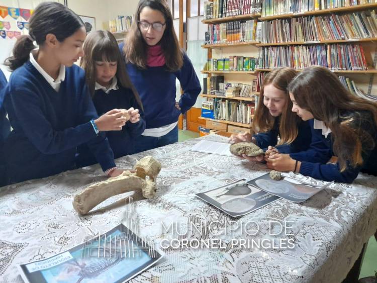 "Delivery de Megafauna"