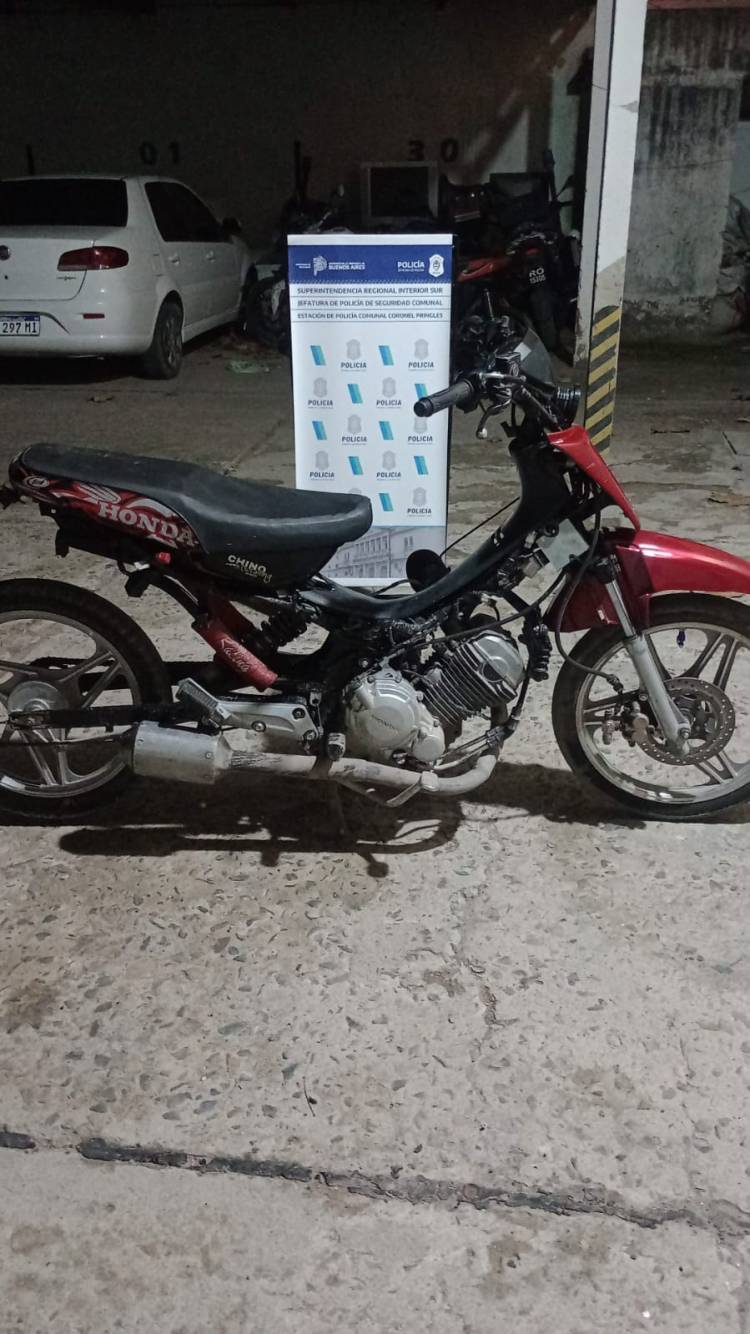 Policial: Hurto, faenamiento, aprehensiones y detención