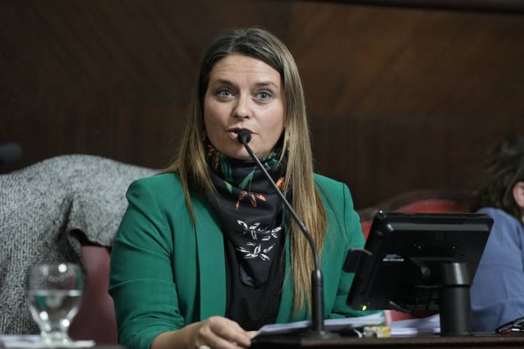 La senadora Neumann Losada reclamó la pavimentación de la Ruta Provincial N° 60
