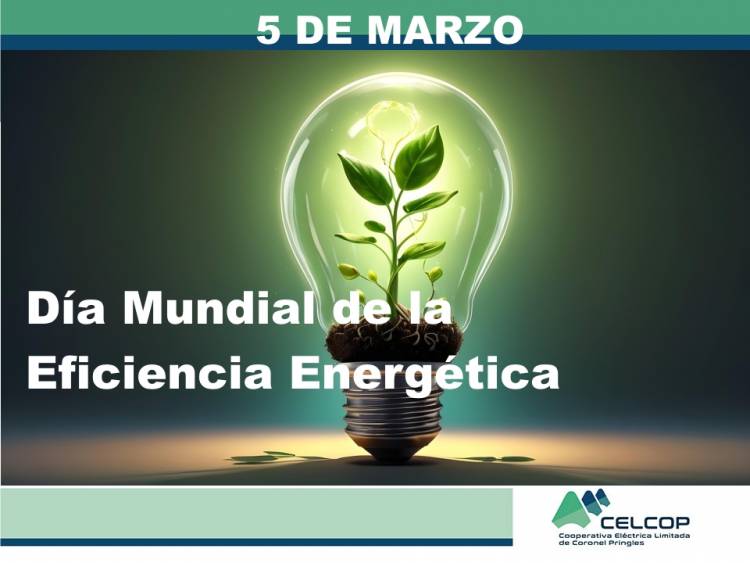 5 de marzo: Día Mundial de la Eficiencia Energética (CELCOP)