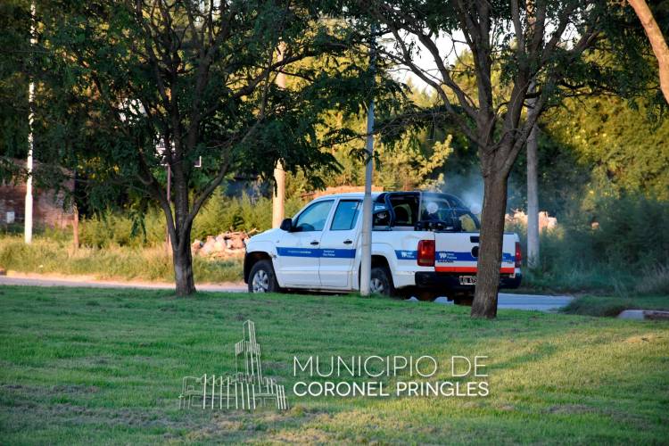 Fumigación en espacios públicos