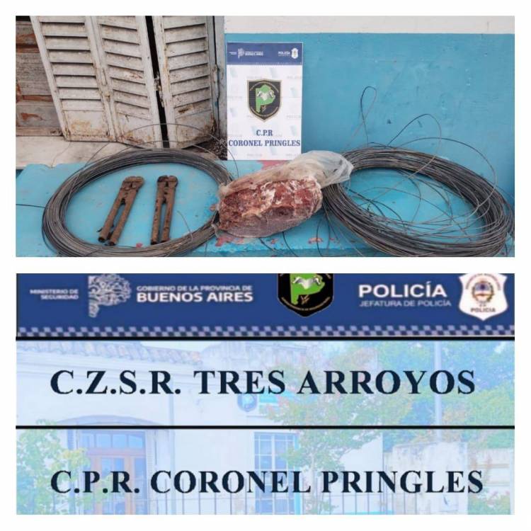 Allanamientos simultáneos por robo y faena en el establecimiento rural "La Dorita"