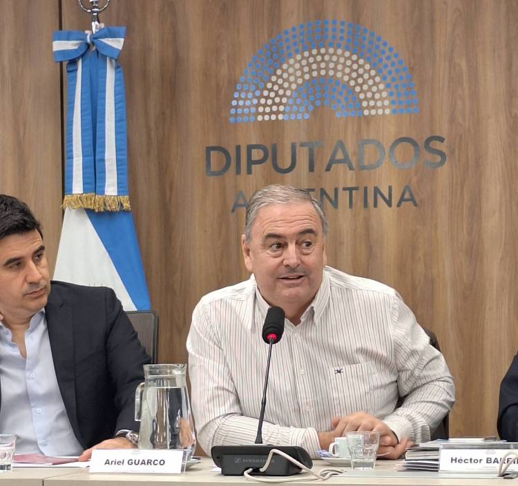 Se llevó adelante el Encuentro Parlamentario en el Año Internacional de las Cooperativas