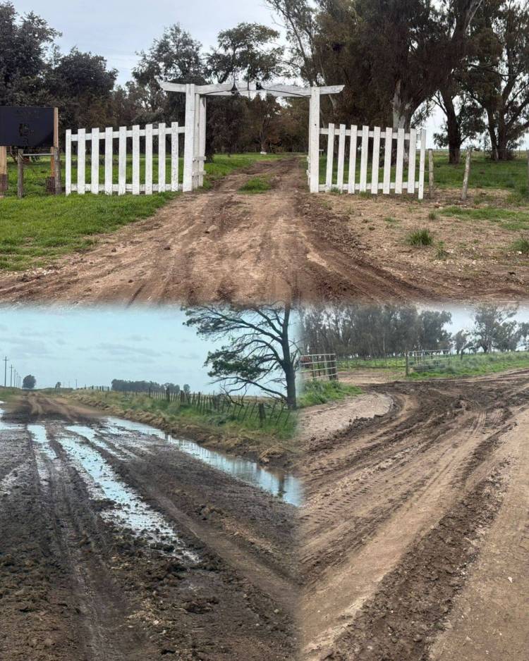 CPR: Dos establecimientos rurales de la Zona de Indio Rico fueron infraccionados por dañar caminos rurales