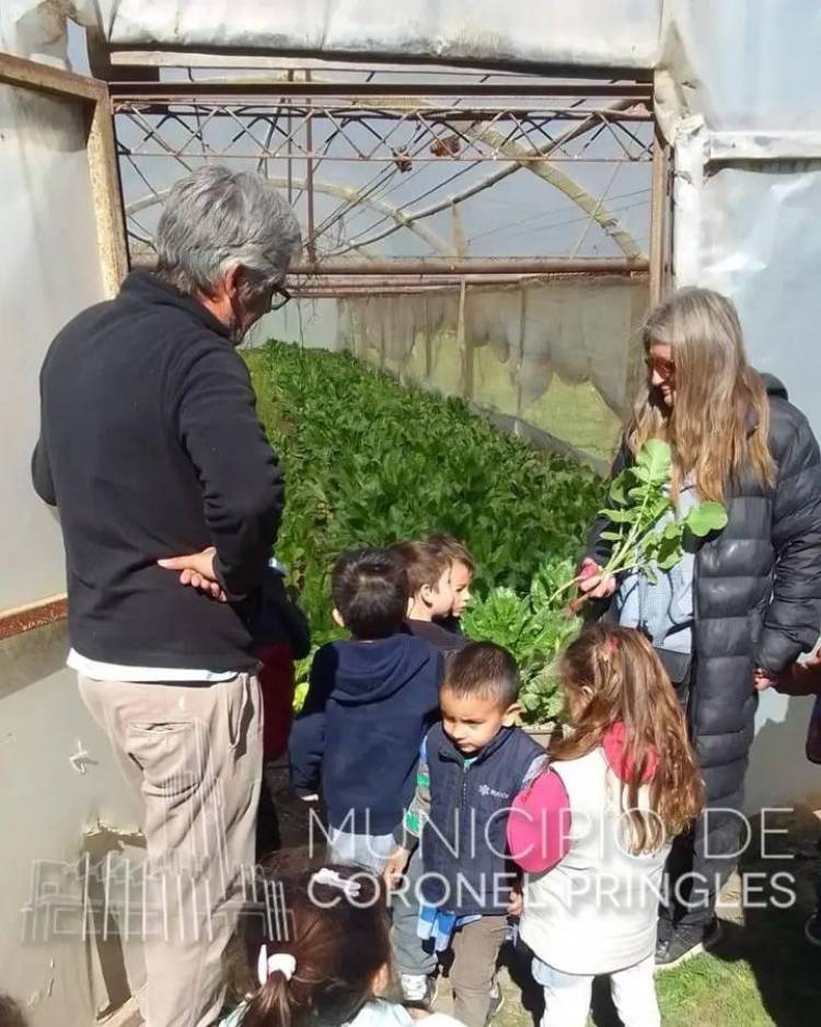 Gracias por la visita