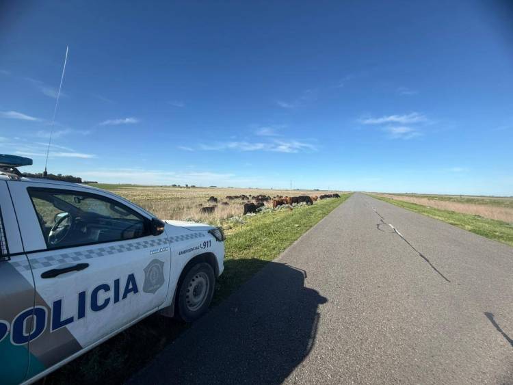 CPR: Realizó dos infracciones que ponían en peligro a los transeúntes