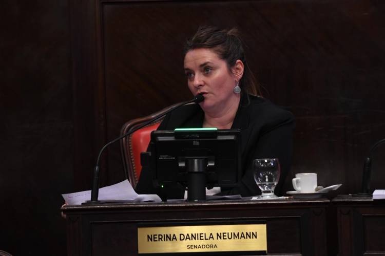 El Senado bonaerense aprobó la adhesión al Régimen Federal de Empleo Protegido para Personas con Discapacidad