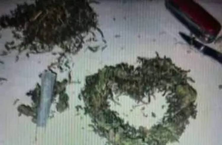Coronel Pringles: Dos personas fueron detenidas por comercializar marihuana