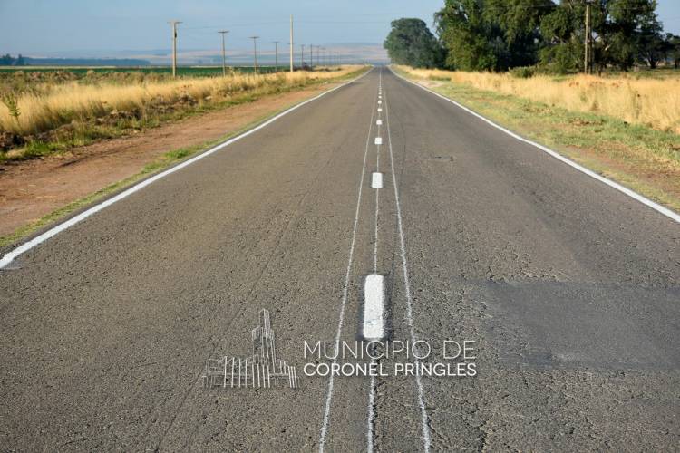 Seguridad Vial