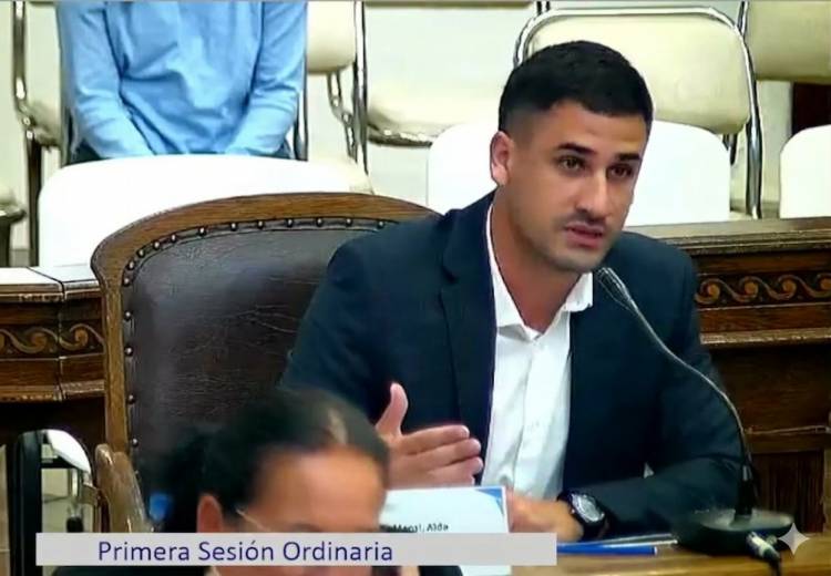 HCD: Mensi impulsó proyectos para mejorar la iluminación urbana y pidió informes sobre el esterilizador municipal