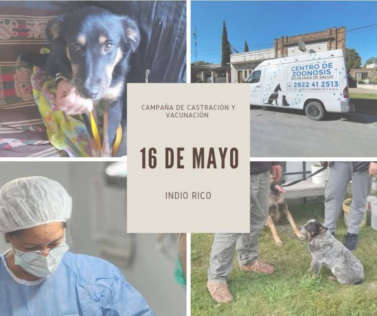 Así se vivió la campaña del 16 de Mayo en Indio Rico